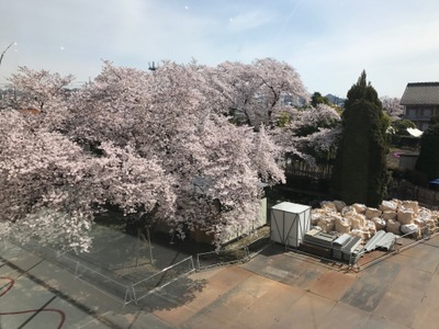 見学施設3階から撮影