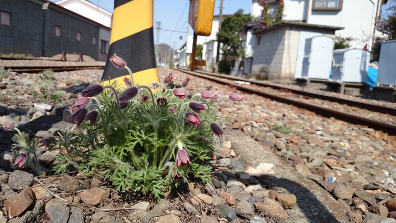 2014年4月11日南蛇井駅