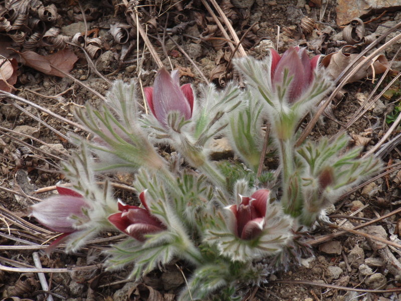 2012年3月22日神成山