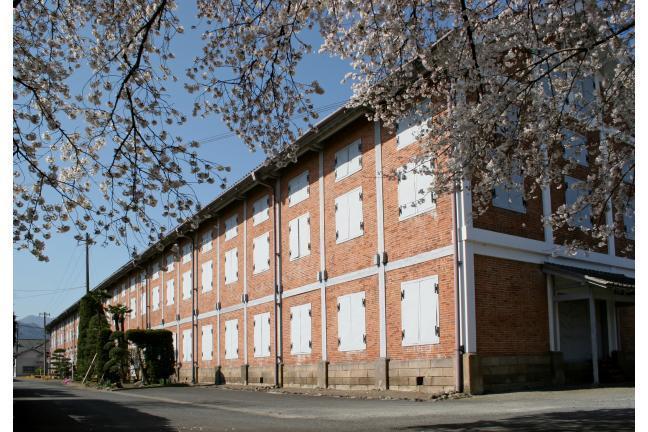 東置繭所と桜