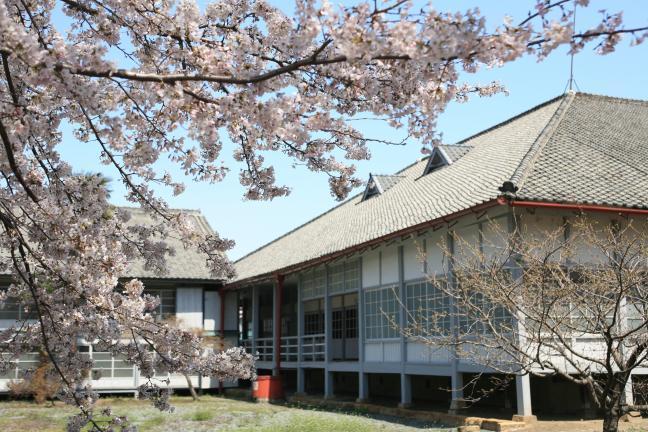 首長館と桜