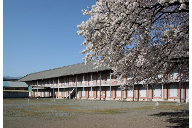 東側からみた西置繭所と桜。