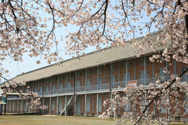 春の西置繭所東側。
