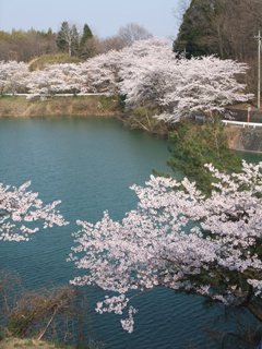 大塩湖