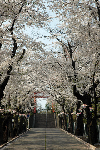 貫前神社