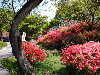 宮崎公園