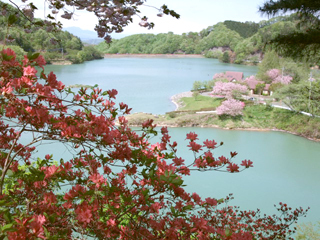 大塩湖