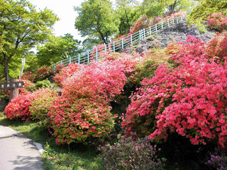 宮崎公園