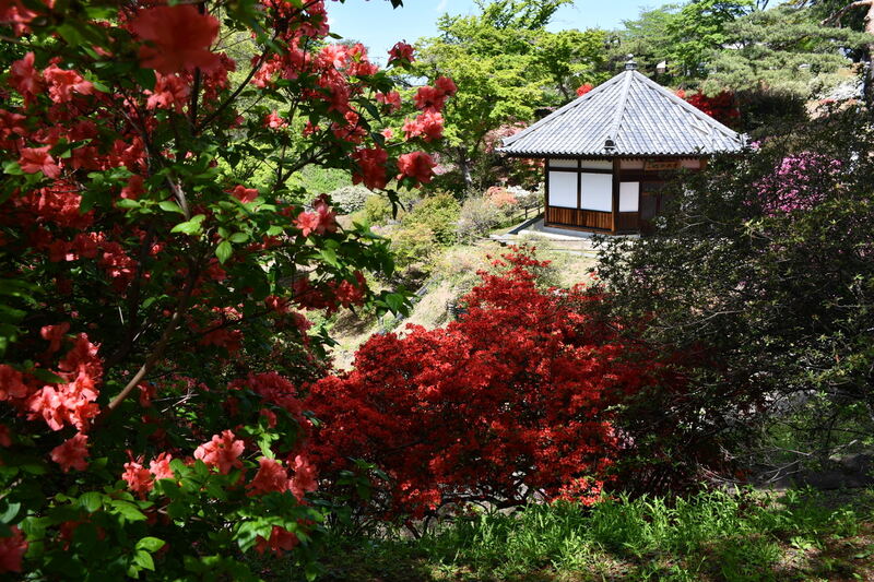 宮崎公園入口（過去の様子）