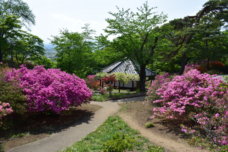 宮崎公園（過去の様子）